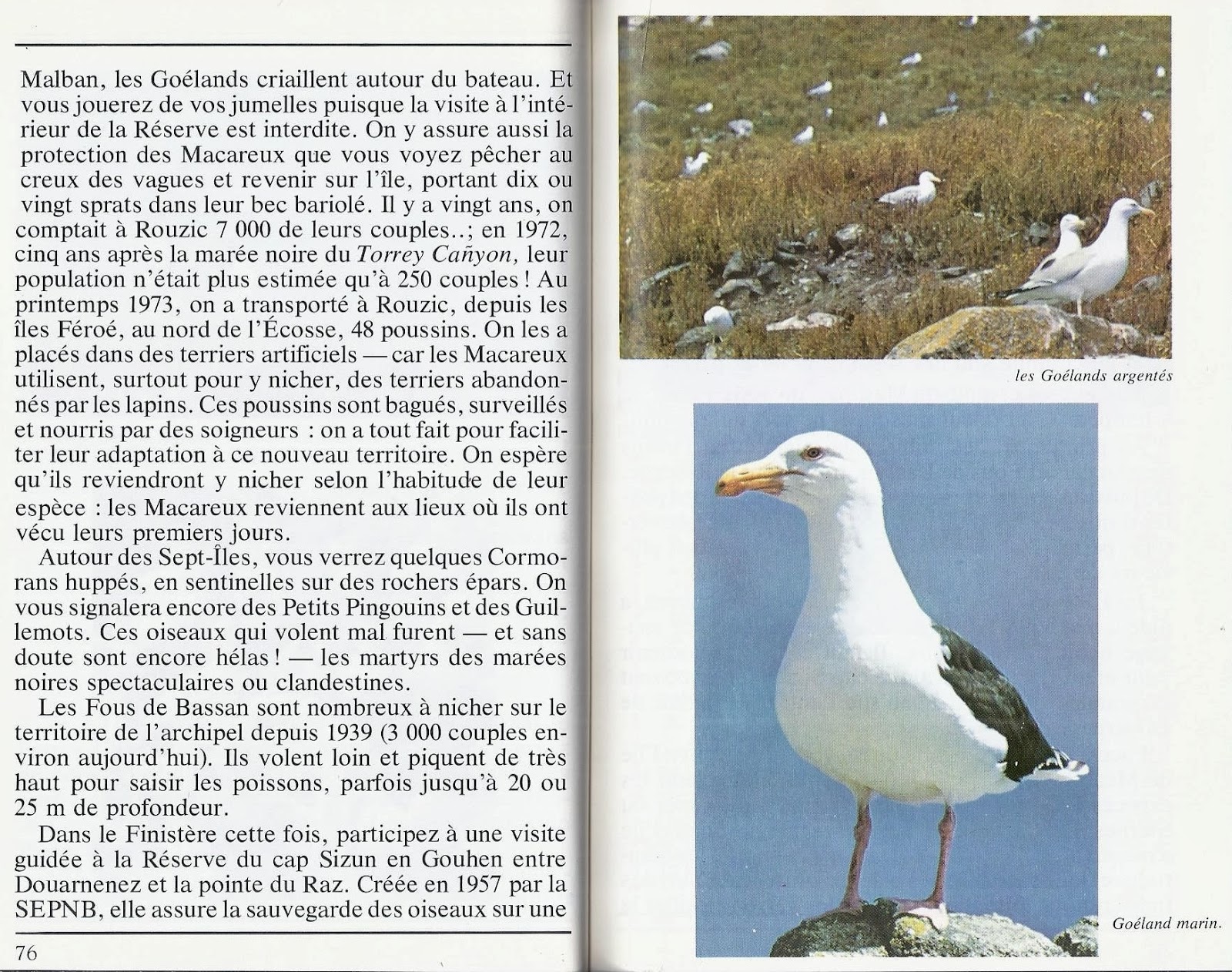 Leçons de choses: Au bord de la mer (grand format pour grand écran)