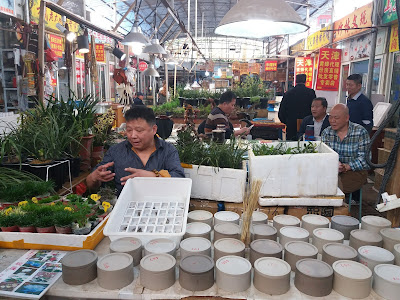 shanghai market