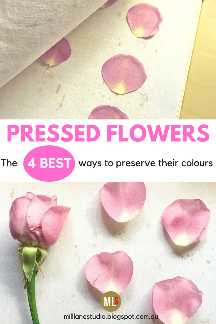 Drying and Preserving Flowers for Resin