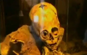 momia de extraterrestre hallada en cusco, perú