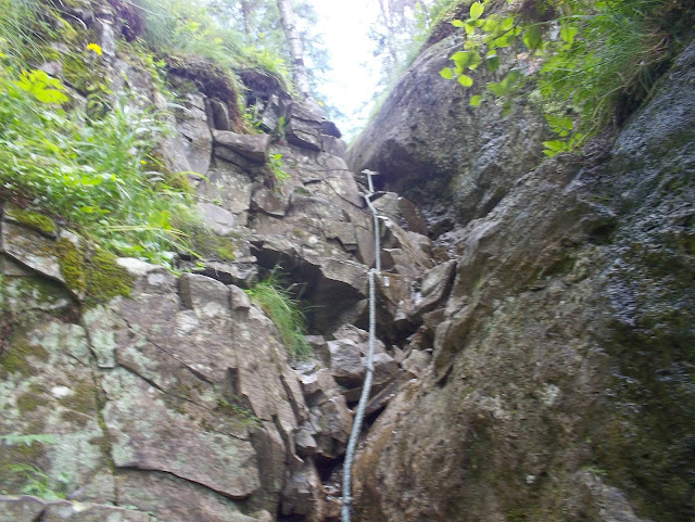 100_1063.JPG