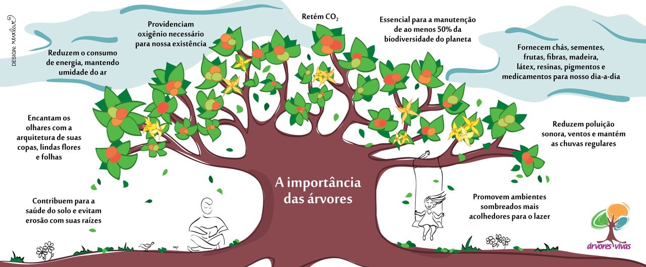 Mural Virtual Educação Ambiental A importância das árvores