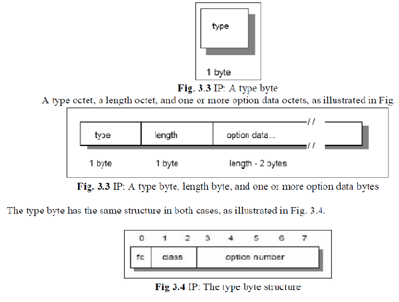 Draw IP datagram format and explain about its each field briefly.