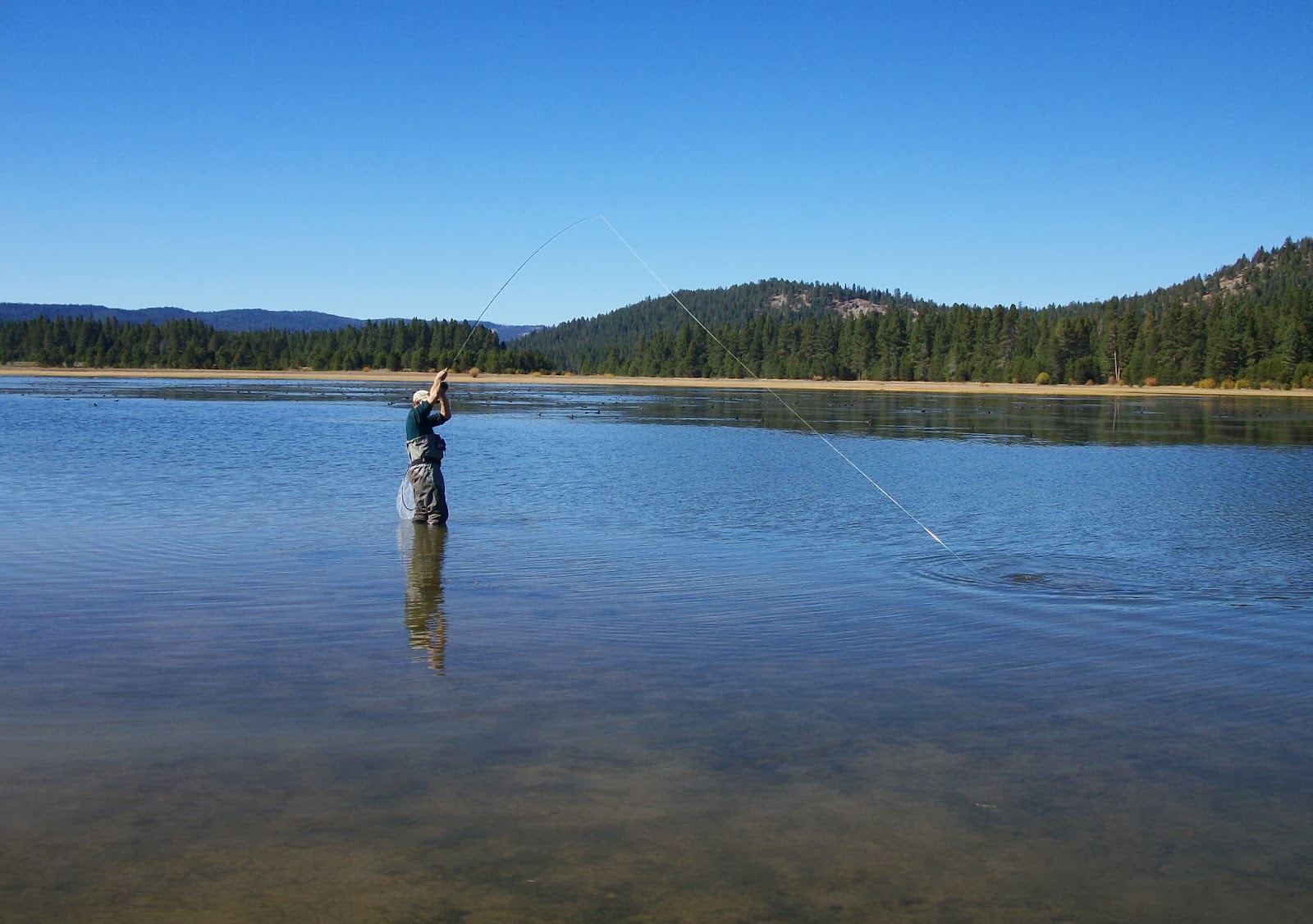 Jon Baiocchi Fly Fishing News Fall Magic Continues at Lake Davis