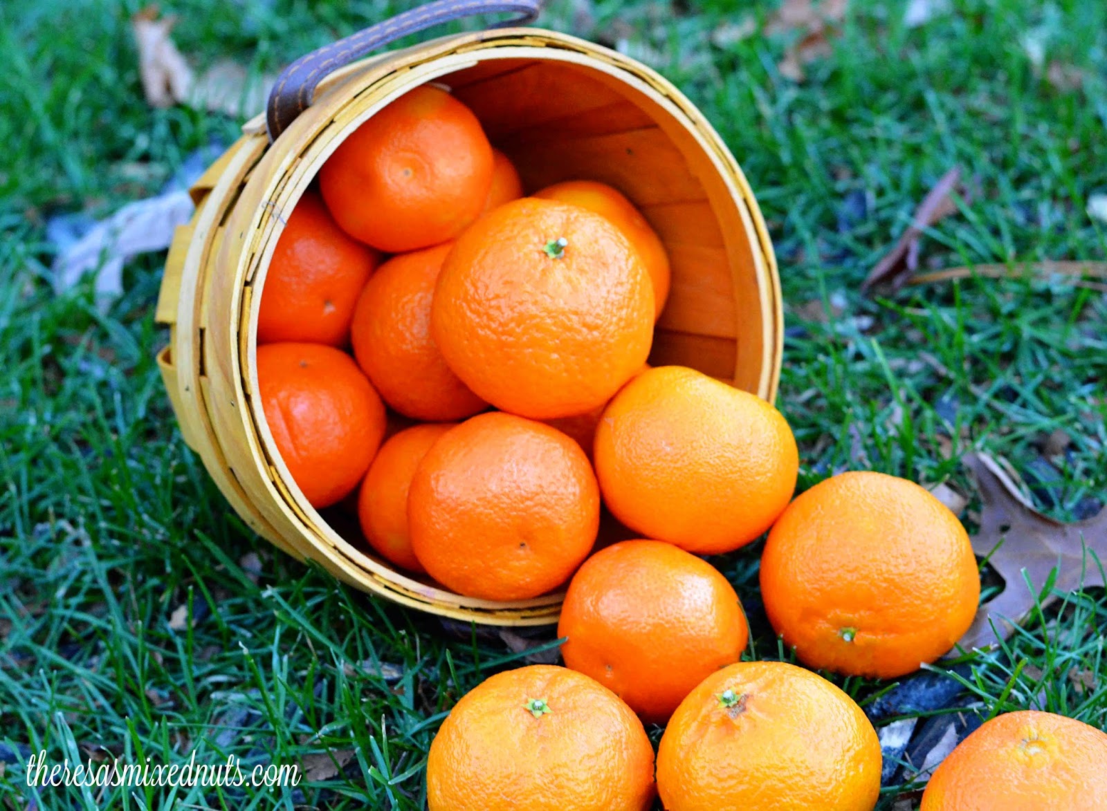 Theresa's Mixed Nuts Wonderful Halos is Pure & Delicious Snacking! 