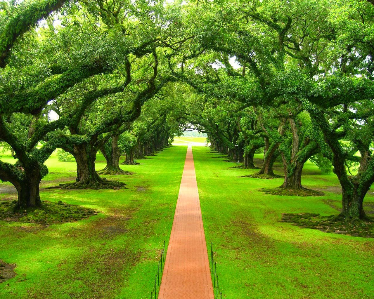 On David's Brain Video Game Review Persona Retrospective Persona