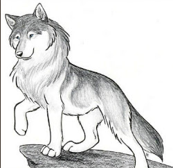 jam animal drawings arctic wolf wolves halloween drawing drew sketch coloring really bouncies