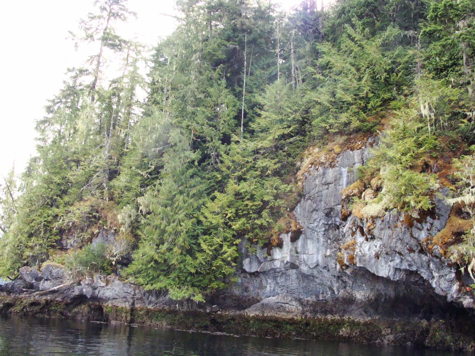 BC Oceanfront BCO Coastal Hidden Gem Quatsino Village