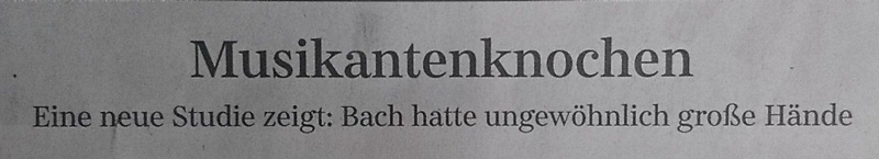 Wie Kann Man Sein Freund Nennen Ein Guter Freund Sein