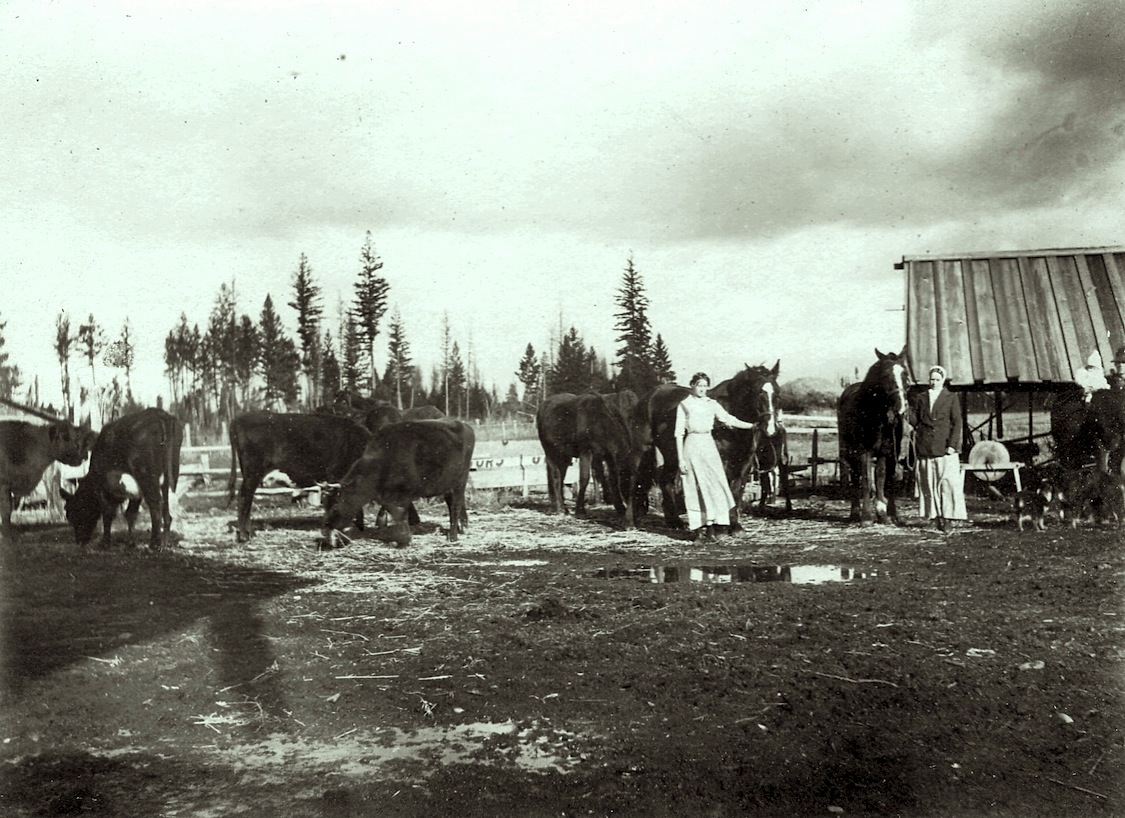A drifting cowboy Cowboy Legacy Montana stump ranch 1912