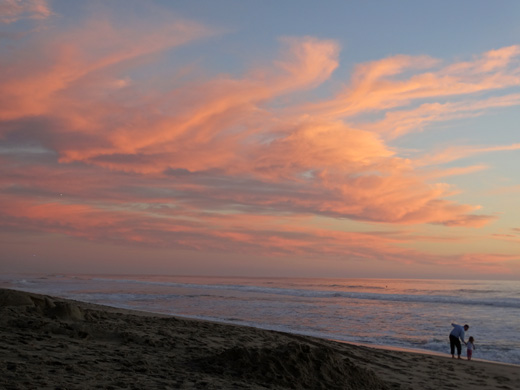 Carlsbad State Beach  - Photo by Stacey Kuhns