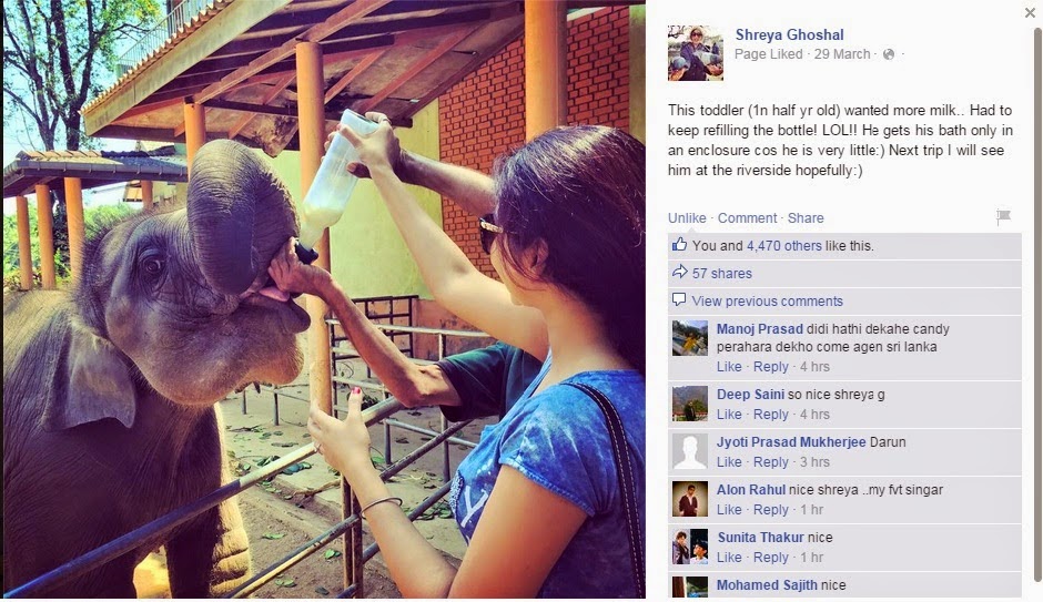 Shreya Bottle Feeds Baby Elephants In Pinnawala Crazy Lanka News