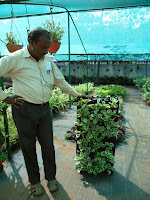 Arun showing vertical gardening system 