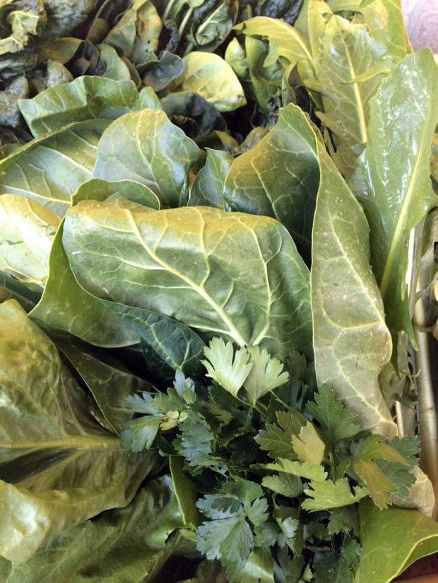 dieta ricca in colesterolo dellacido urico dei trigliceridi