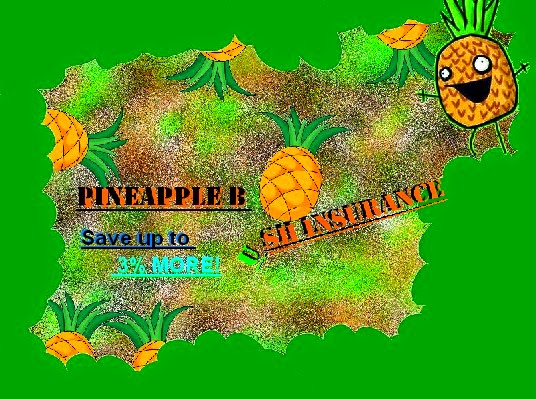 PineappleBush Insurance About us PineappleBush Insurance About us