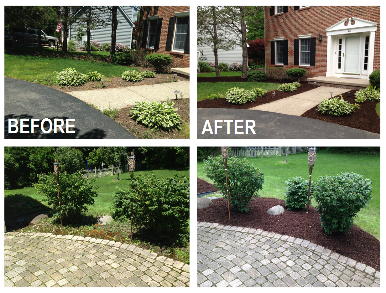 A St. Louis Realtor's Adventures, Tips, and Finds Curb Appeal Tip