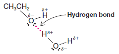 Solubility of Organic Compounds