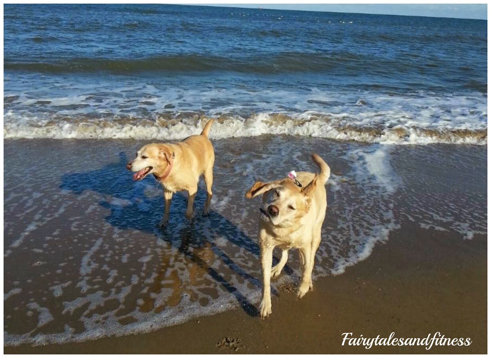 Fairytales and Fitness Wicked 10K Race Weekend at Virginia Beach