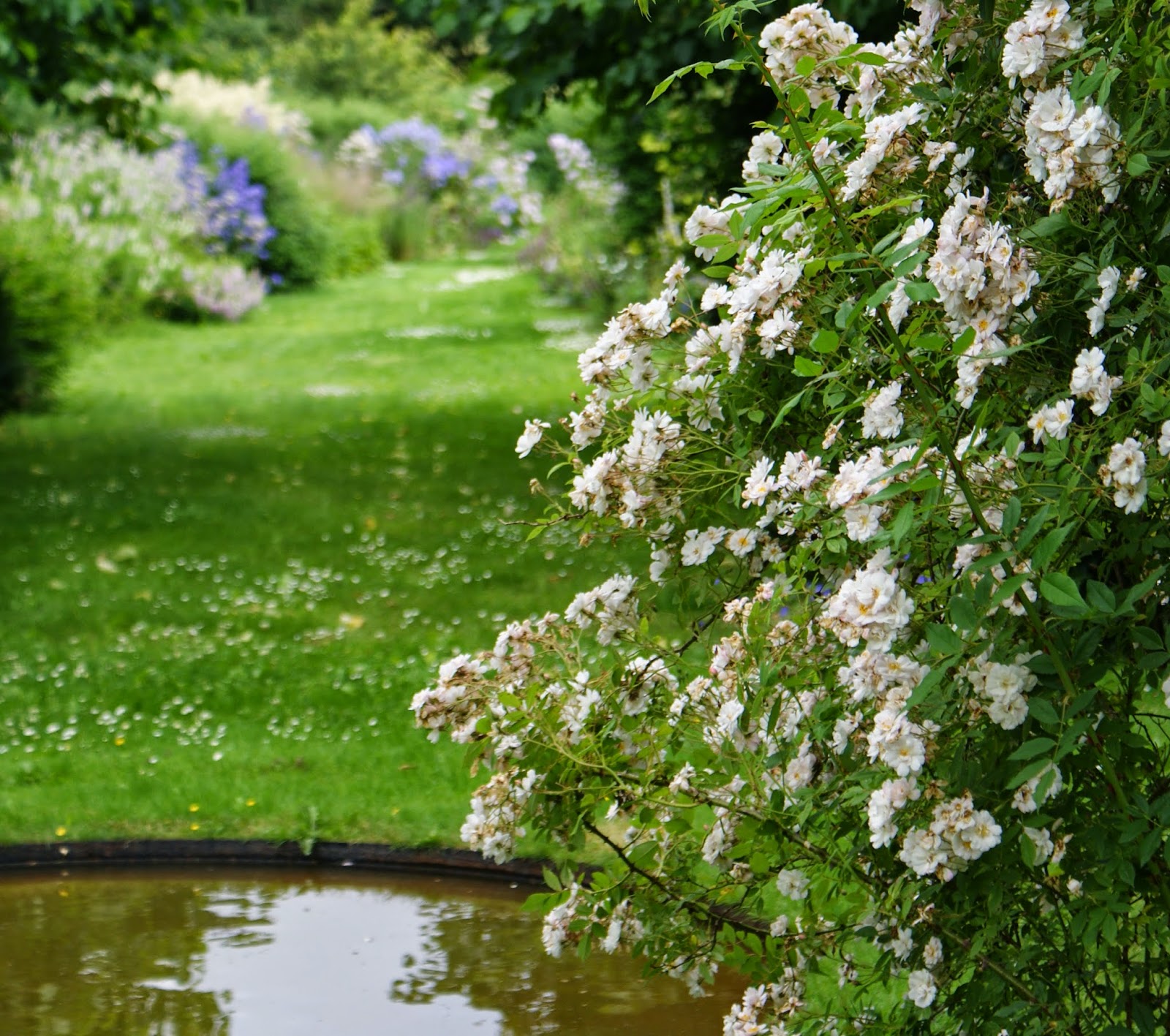 KJELD SLOT WHERE HAVE ALL THE ROSES GONE...?