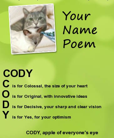 Cat Chat With Caren And Cody Thank You From Cody
