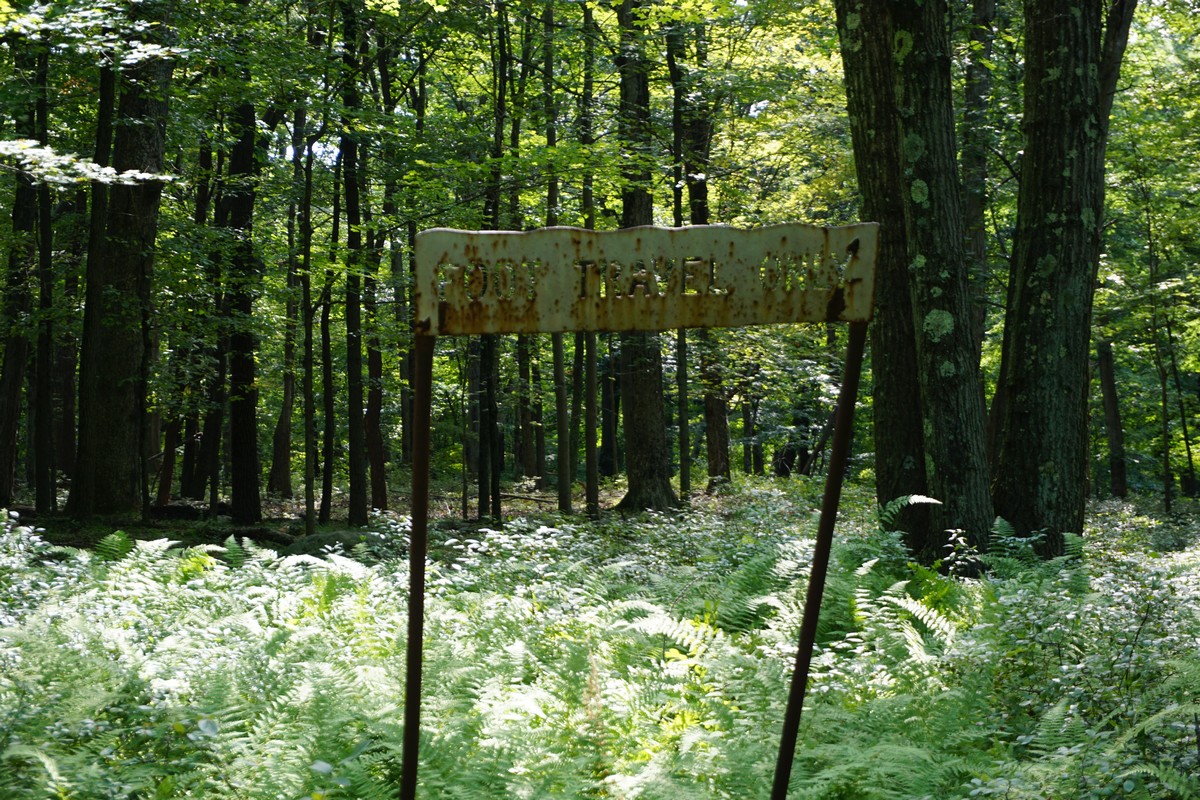 Harriman Hiker Harriman State Park and Beyond Buck Trail Conklin