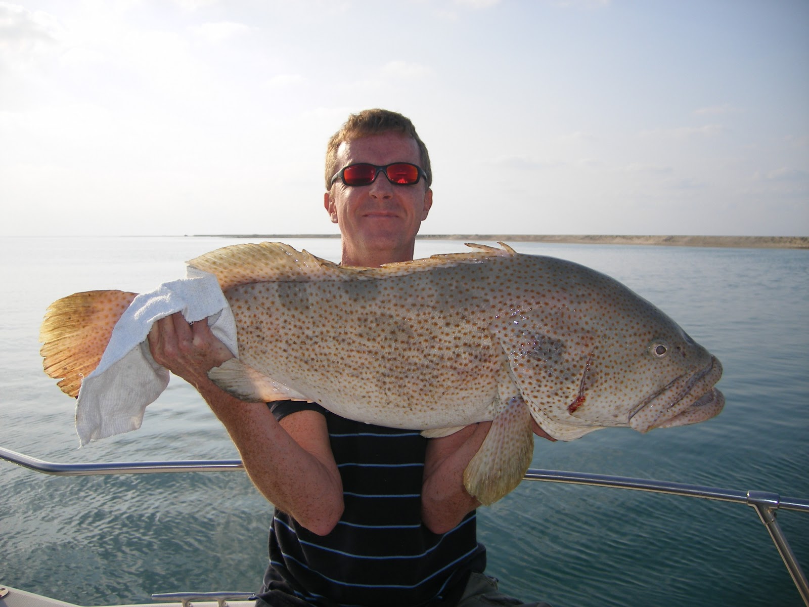 July Fish of the Month Entry Abu Dhabi Grouper!