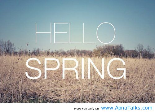 Ms. Lukes is Bazooks!