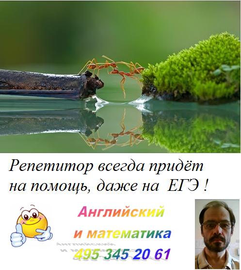 Курсовые на заказ: Как найти репетитора/ Бакалавриат, аспирантура и ...