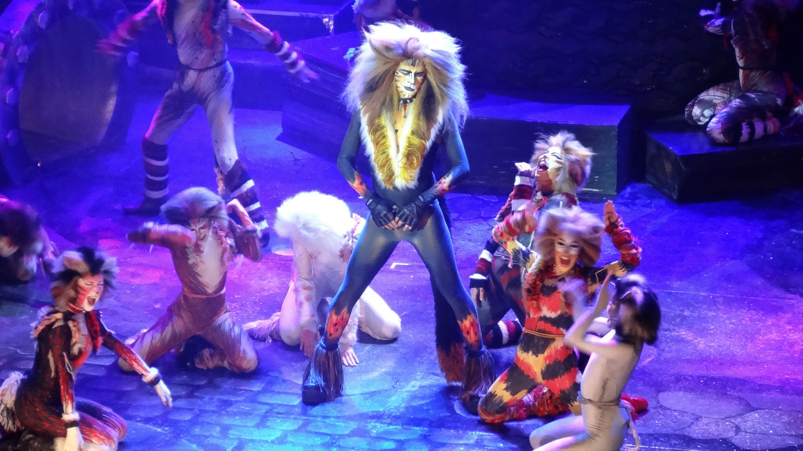 ABC Danzar CATS. En el Teatro