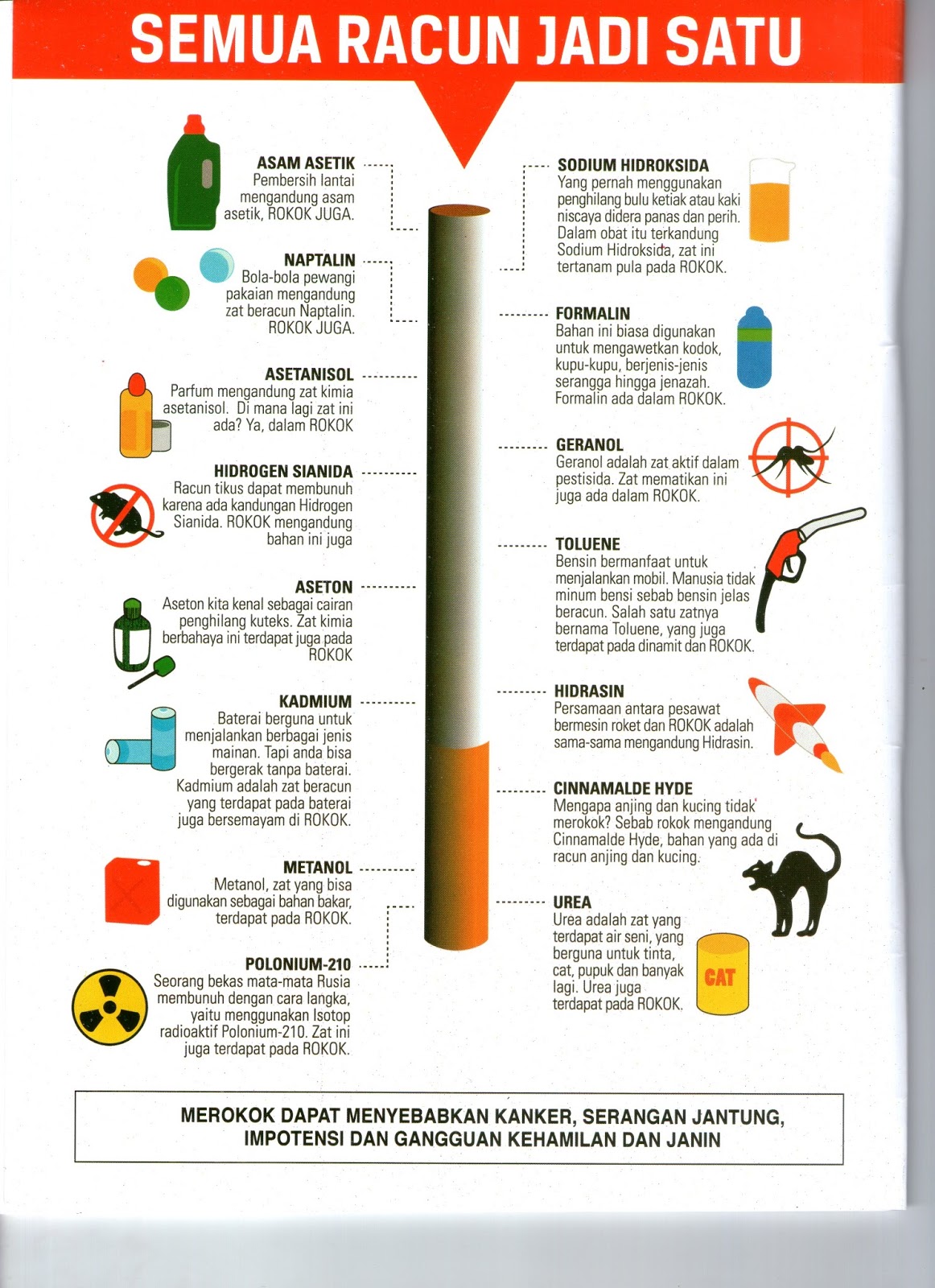 Bahaya Merokok dan Alasan Kenapa Harus Berhenti Merokok 