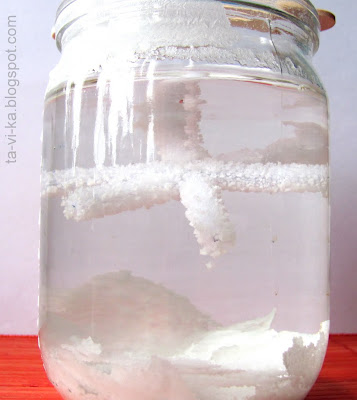 выращивание кристаллов соли growing salt crystals