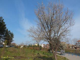 Terme Gençlik Parkı ve Yeni Bölümleri (Mart-2012)