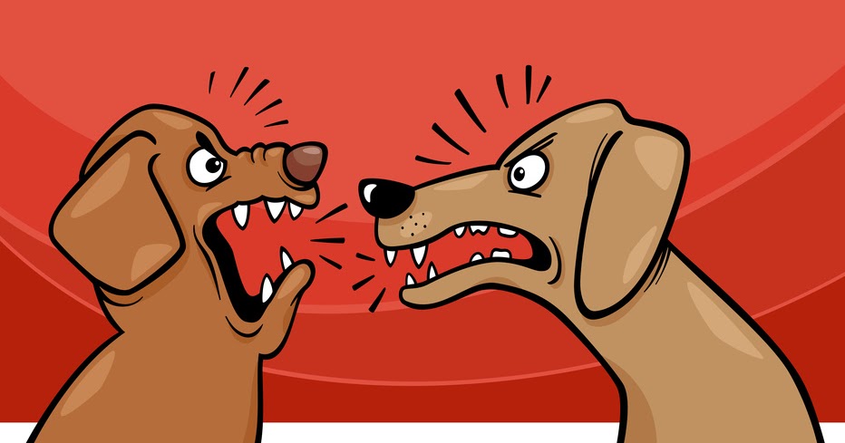 Klartextquickie Rangordnung und Führung bei Hundebegegnungen