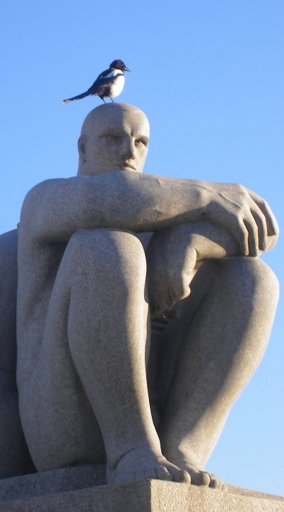 Skade på hovedet af Vigeland-statue