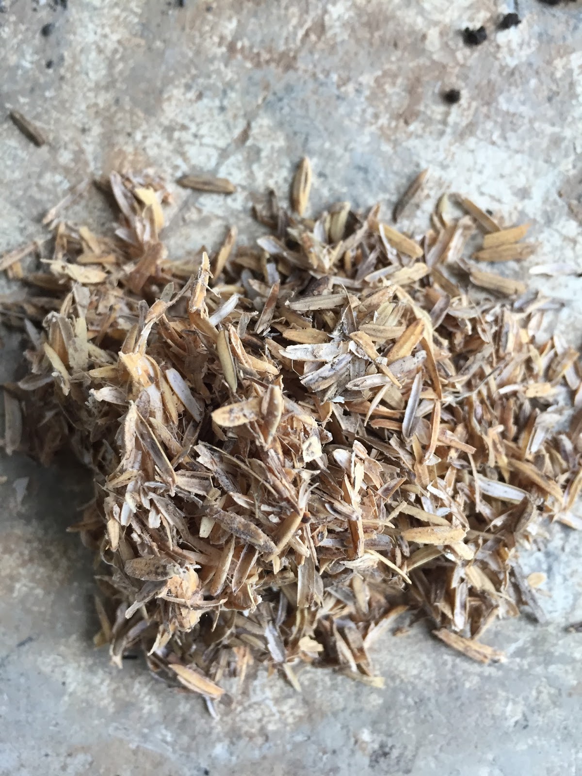 Pinoy Bonsai Best DIY Bonsai Soil Mix for Rooting Bonsai Materials and