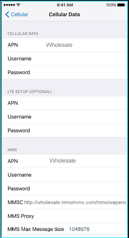 New Mint SIM apn settings iPhone