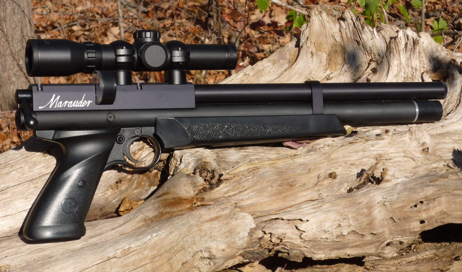 Best Pellet Gun Reviews