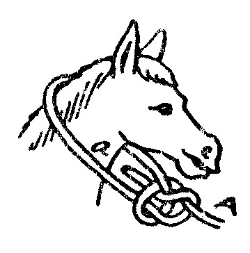 Ensiklopedia Pramuk: Tali temali : Simpul Erat, Simpul Kembar, Simpul ...