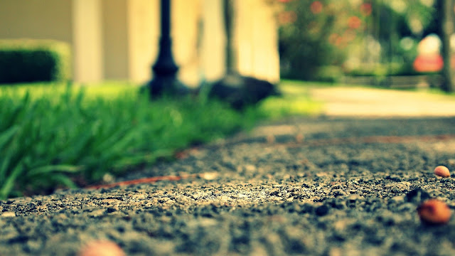 45 hình nền máy tính thiên nhiên đầy lãng mạn và So Deep