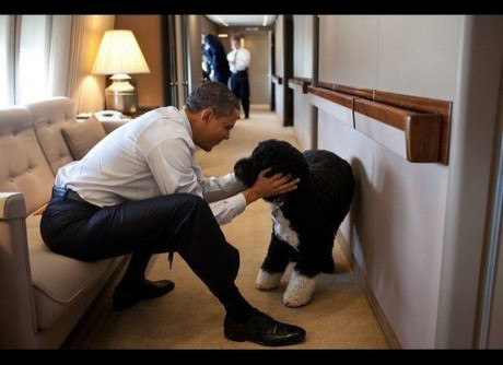 Hinh anh Tong thong Obama vui dua cung “de nhat thu cung” Nha Trang - Anh 4