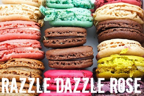 Razzle Dazzle Rose