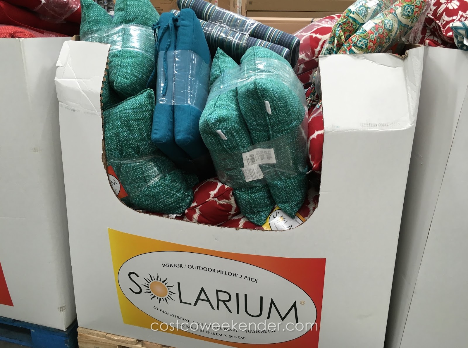 Solarium Indoor/Outdoor Decorative Pillow (2 pack) Costco Weekender