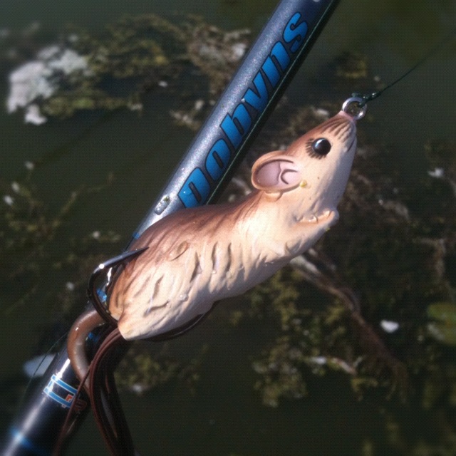 Bass Junkies Frog Pond: Live Target Field Mouse Review