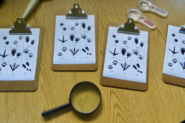 Ms. Sara's Preschool Blog