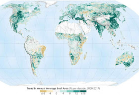 NASA: reverdecer do planeta deveu-se ao homem. O mapa só aponta o aumento de área verde. Áreas amarelada não mudaram.