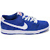 Nike SB Dunk Low Pro IW Deep Royal