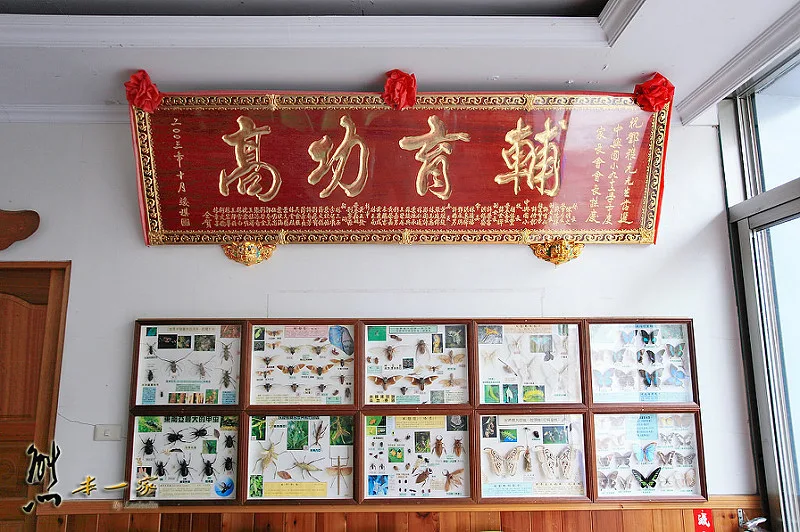 龍雲休閒農場環境|阿里山賞櫻住宿選擇