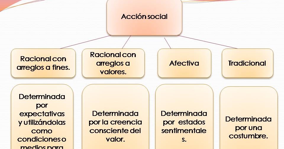 La Accion Social y los tipos ideales La Accion Social y los tipos ideales