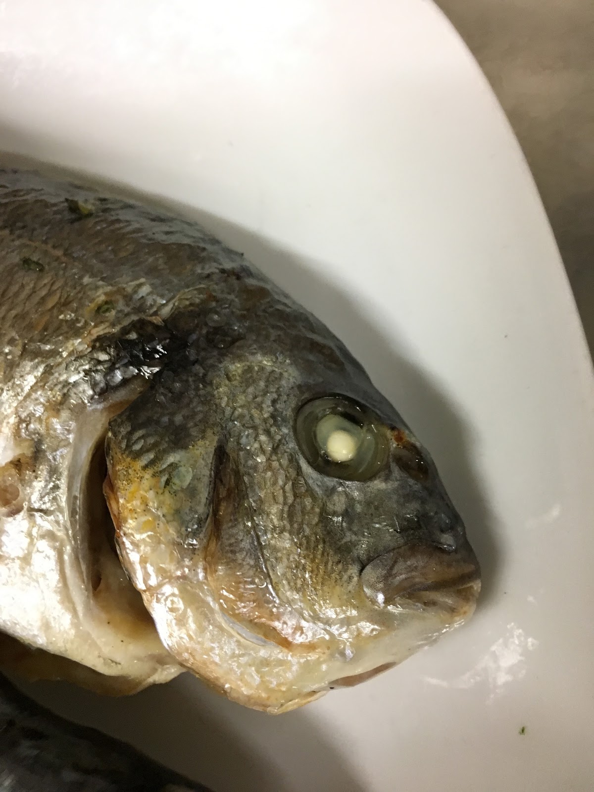 Lesson number three: il pesce - parte prima - pesce al sale ed al cartoccio