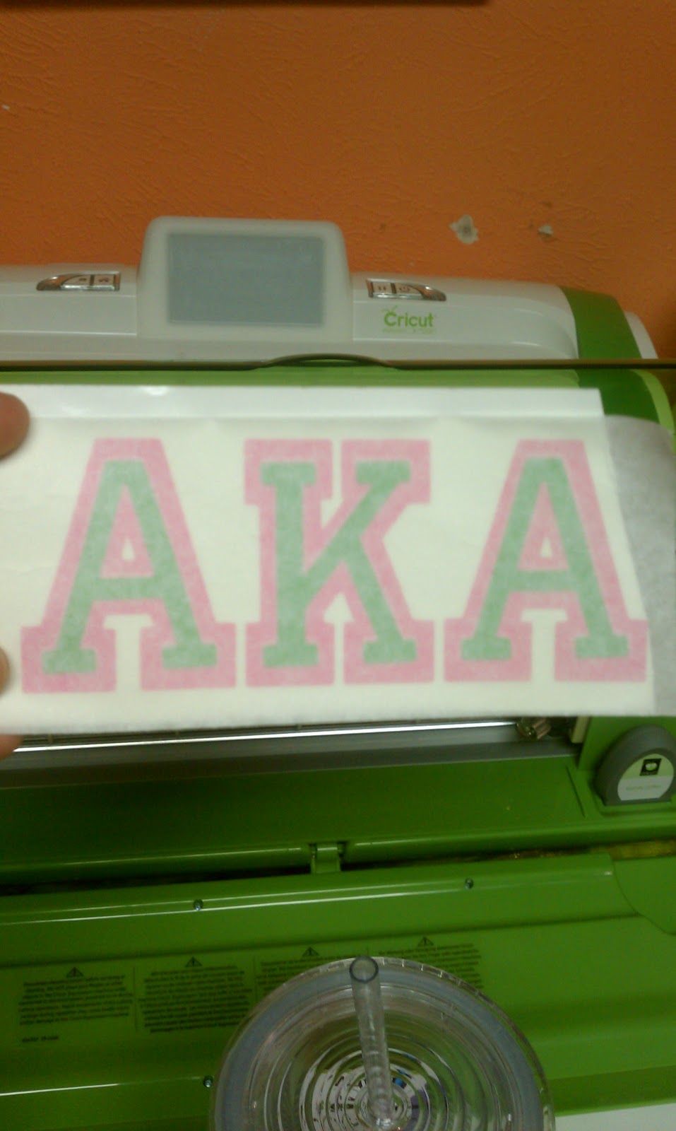 She's a Sassy Lady Vinyl Plastic Cups